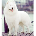 User Profile